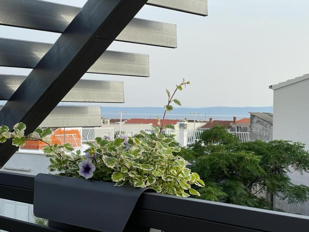 Villa Jadranka Apartments Tučepi Exteriör bild